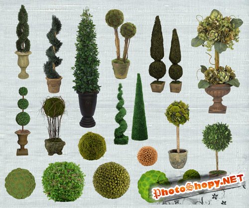 PSD Clipart - Topiary