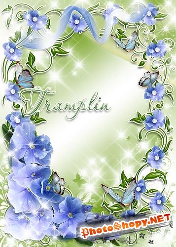 Рамка для фото – Цветы голубые из радужных крыльев