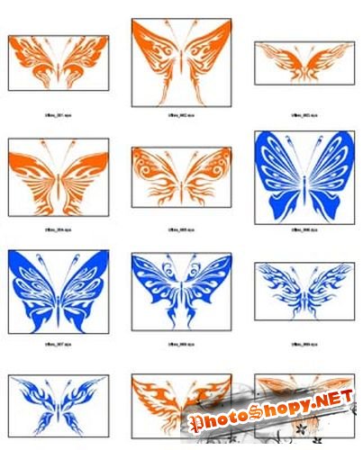 Набор векторных бабочек