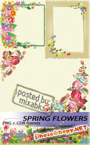 Весенние цветочные рамки | Spring flower frames (PNG)