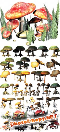 PSD Cliparts - Fantasy Mushrooms
