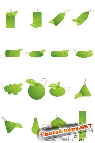 Green Leaf Labels Vector