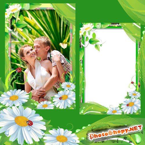 Рамка для фото – Зелень и белые ромашки