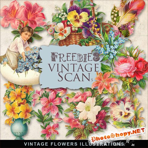 Scrap-kit - Vintage Flowers Illustrations #3