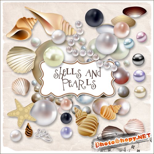 Scrap-kit - Sheals And Pearls