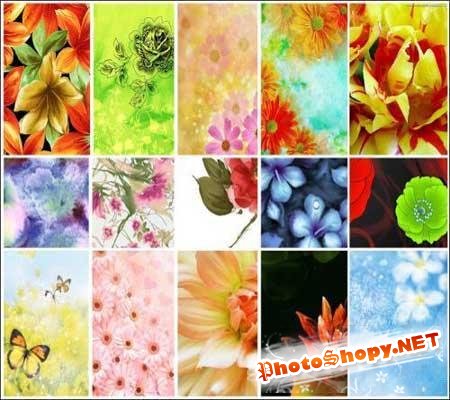Разнообразные цветочные фоны