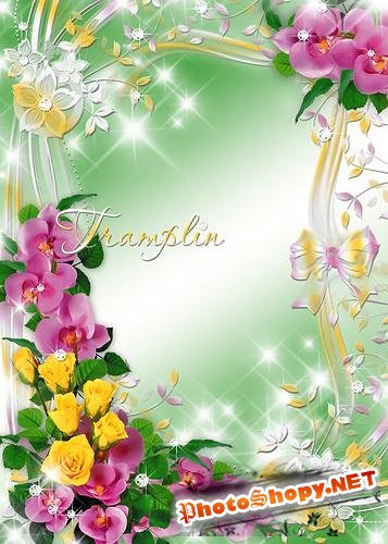 Цветочная Рамка для Photoshop – Орхидеи и розы