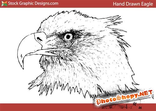 Рисованное изображение орла (+кисть)