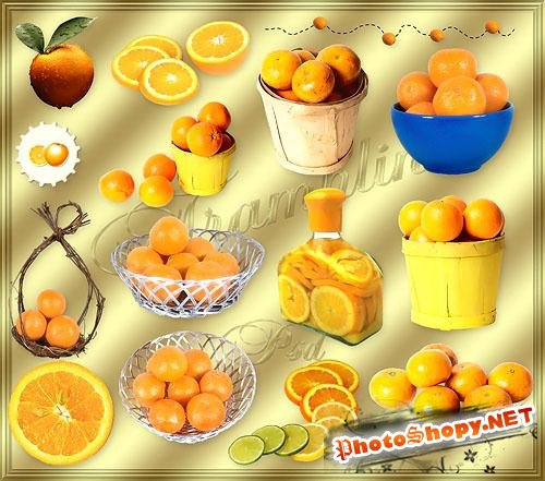 Клипарт - Апельсины