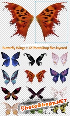 Крылья бабочек PSD формата для фотошоп
