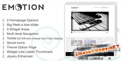 eMotion wordpress premium theme