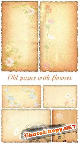 Старая бумага с цветами - фоны