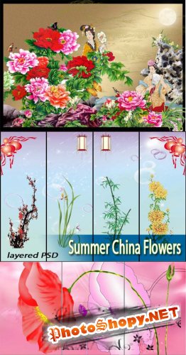 Летние цветы | Summer China Flowers (UHQ PSD)
