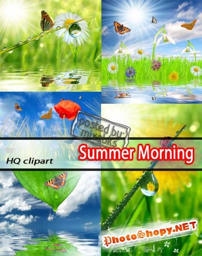 Летнее Утро | Summer Morning (HQ jpeg)