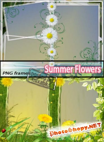 Летние Цветы | Summer Flowers (PNG frames)