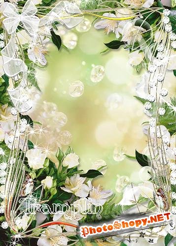 Цветочная рамка для фото – Нежно-белые цветы