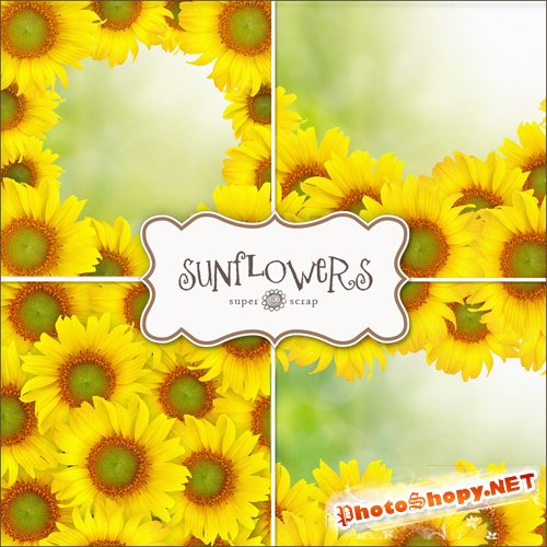 Textures - Sunflowers Backgrounds