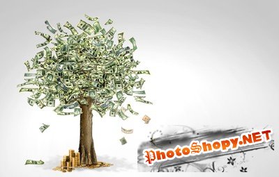 Sources - Money Tree