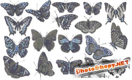 Кисти для фотошопа - Бабочки
