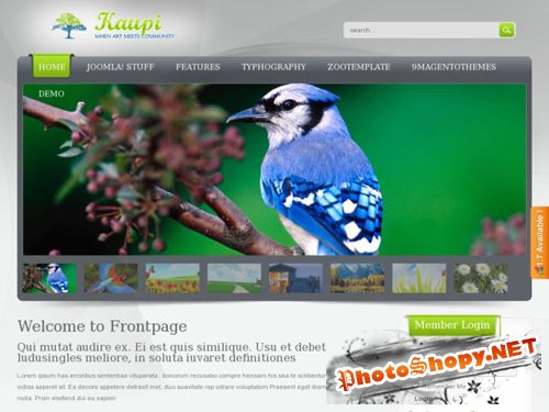 ZT Kaupi ZooTemplate Premium Joomla 1.5&1.6 Template