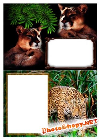 Дикая природа | Wild Nature (PNG frames)