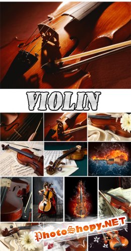 Violin - Rastr Cliparts