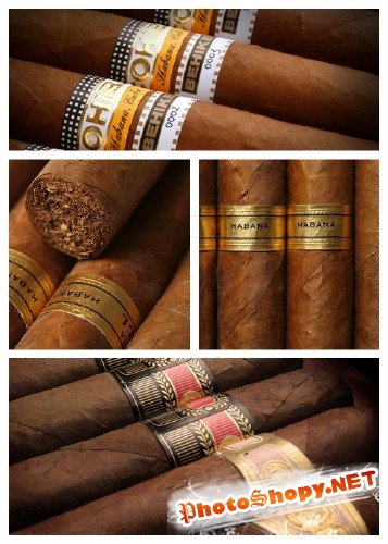 Кубинские сигары - растровый клипарт | Cuban Cigars