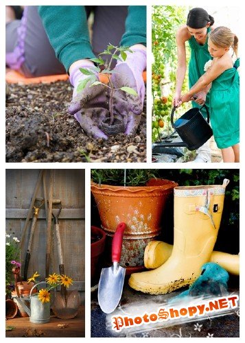 Работы в саду - растровый клипарт | Stock Photo - Gardening