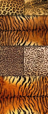 Textures are a set of animal skins