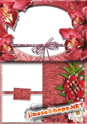 Photo Frame - Red beautiful flowers
