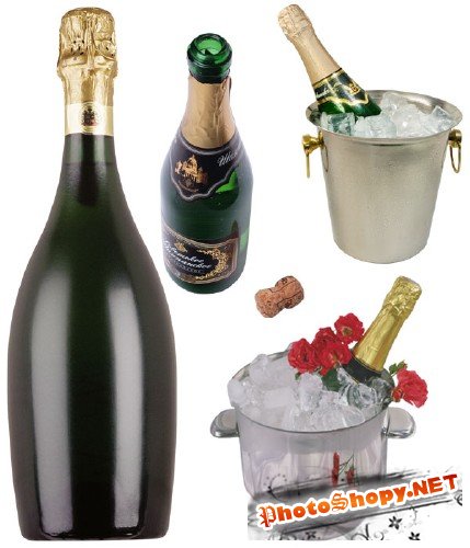 Фотосток:  шампанское, ведерки со льдом и шампанским