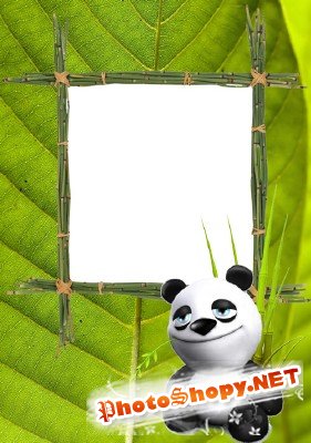 Photo Frame - Panda