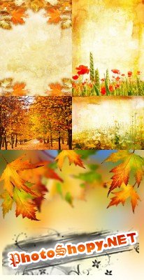 Texture backgrounds autumn leaves # 3