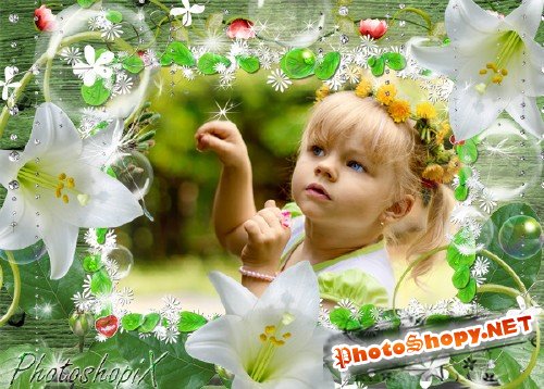 Фоторамка для Photoshop с цветами – Сияние белых лилий