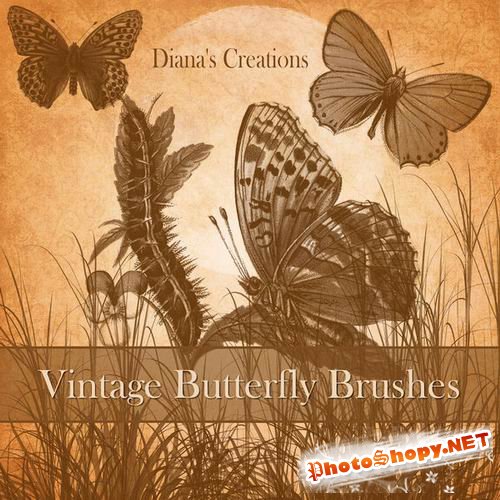 Vintage Butterfly Brushes