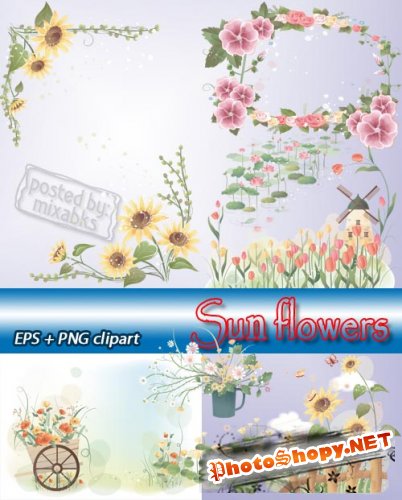 Летние солнечные цветы  | Sun Flowers (EPS + PNG clipart)