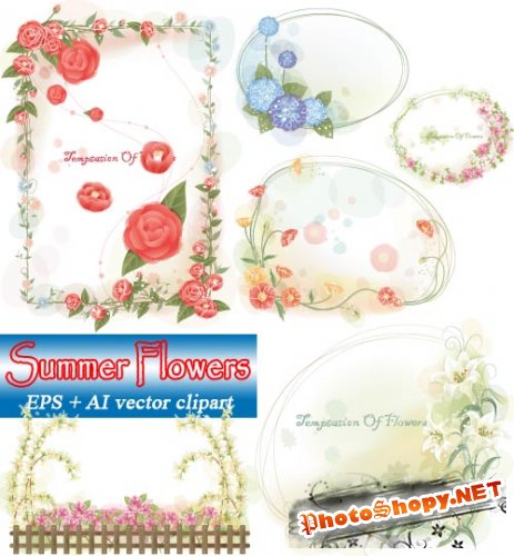 Цветочные кластеры | Summer Flowers (vector frames)