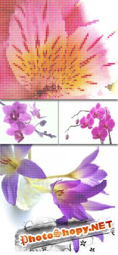 Dots Flower Vector Backgrounds
