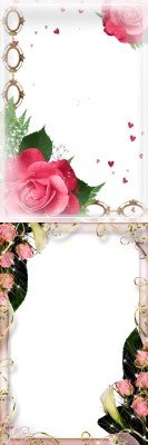 Photo Frame - Beautiful roses