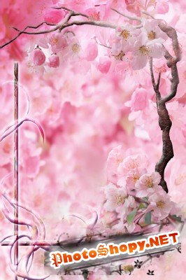 Photo Frame - Cherry Blossom