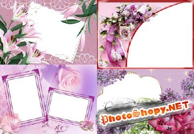Photo Frame - Beautiful delicate flower