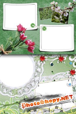 Photo Frame - Spring flowers early