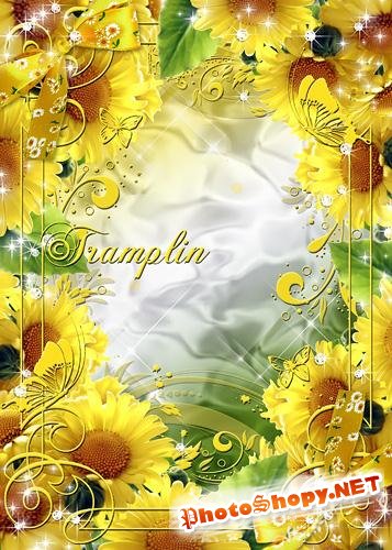 Рамка для фото – Хризантемы желтые – солнышка сияние