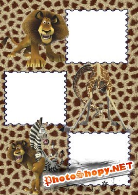 Photo Frame - The Lion, giraffe and zebra