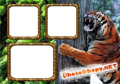 Photo Frame - Evil Tiger