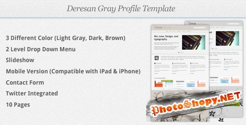ThemeForest - Deresan Gray Profile Template - RiP