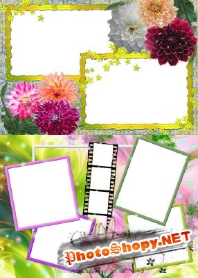 Photo Frame - Color Chrysanthemum