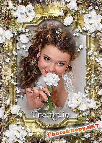 Золотая роскошная рамка для Ваших фото – Белые розы в алмазах