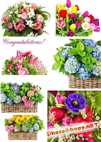 Поздравительные букеты цветов - Растровый клипарт