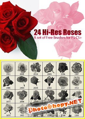A set of free brushes red roses